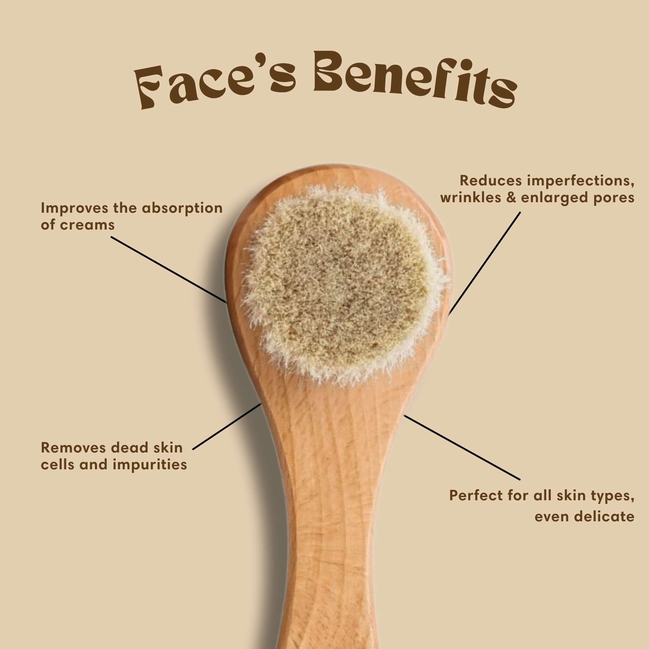 Face Brush
